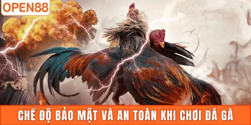 Chế độ bảo mật và an toàn khi chơi đá gà Open88